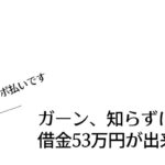 ガーン、知らずに借金53万円が出来てた【リボ払いです】