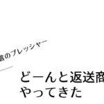 どーんと返送商品がやってきた【無言のプレッシャー】